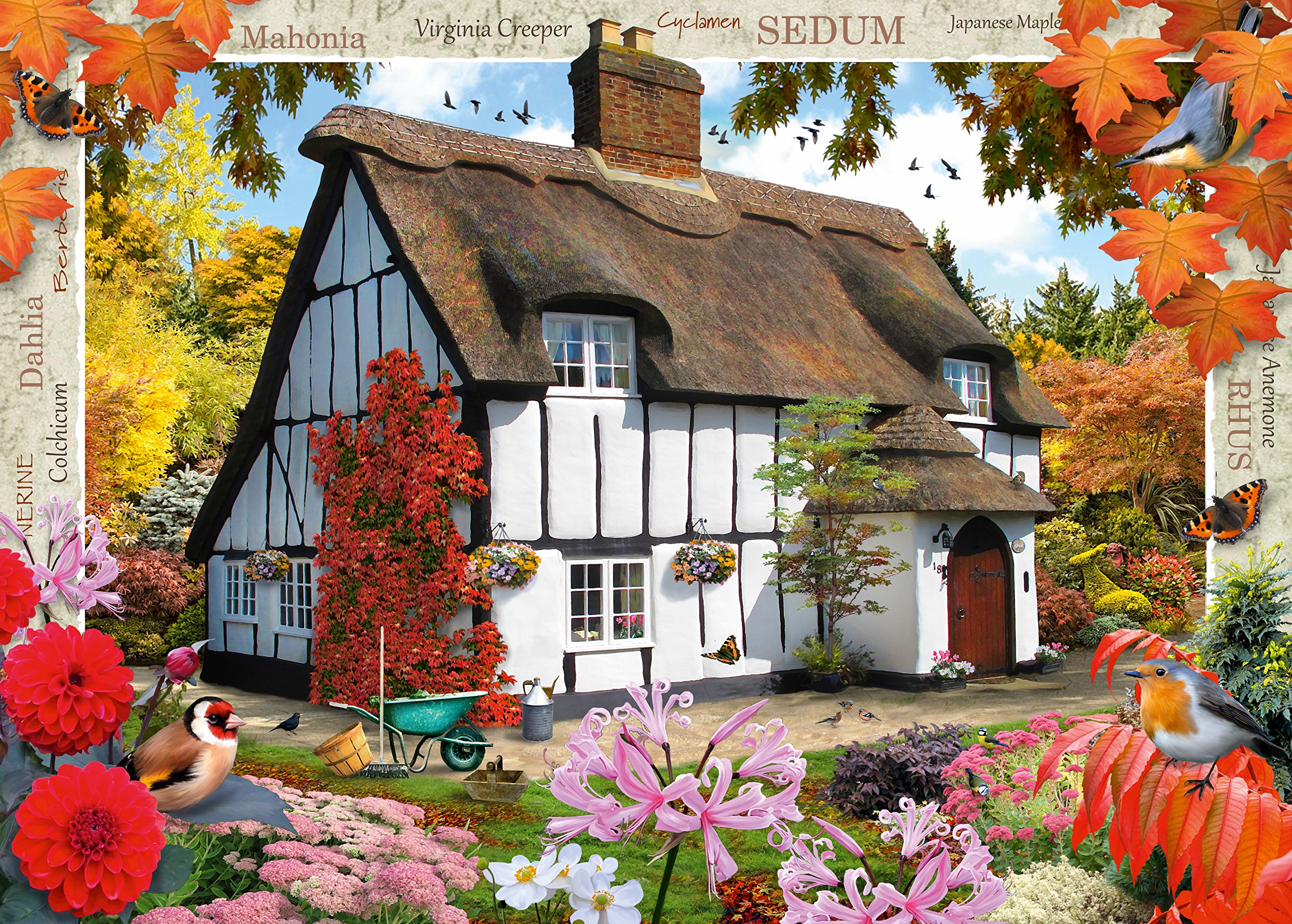 デビッド・タトウィラー、【THE GARDEN COTTAGE GIFT】 デビッド・タトウィラー、【THE GARDEN COTTAGE GIFT】 DIAMOND